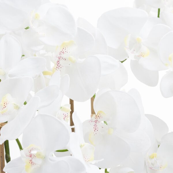 Large White Tall Orchid In Glass Pot - Image 2