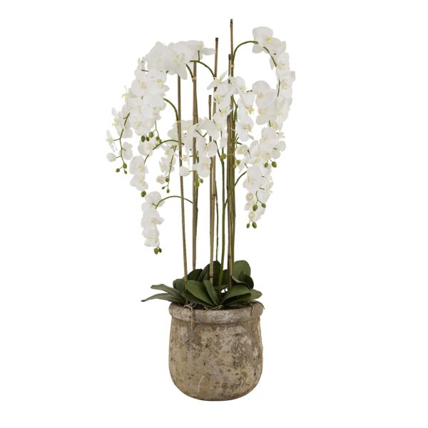 Large 5ft White Orchid In Antique Stone Pot - Image 5