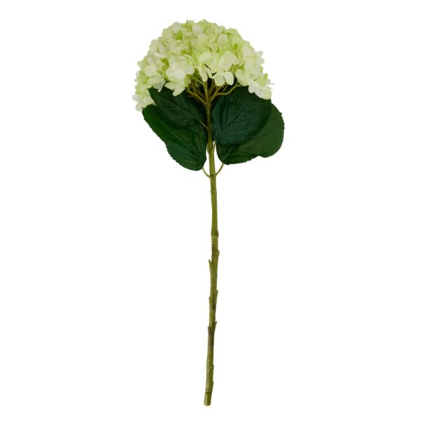 Oversized Green Hydrangea - Image 4